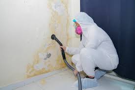 Mold Documentation for Insurance Claims in Gardner, IL